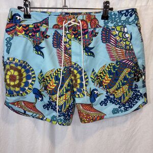 Mr Turk Swim Board Shorts Disney Finding Nemo Dory Men's Size 30 Lined New